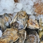 Oysters on ice